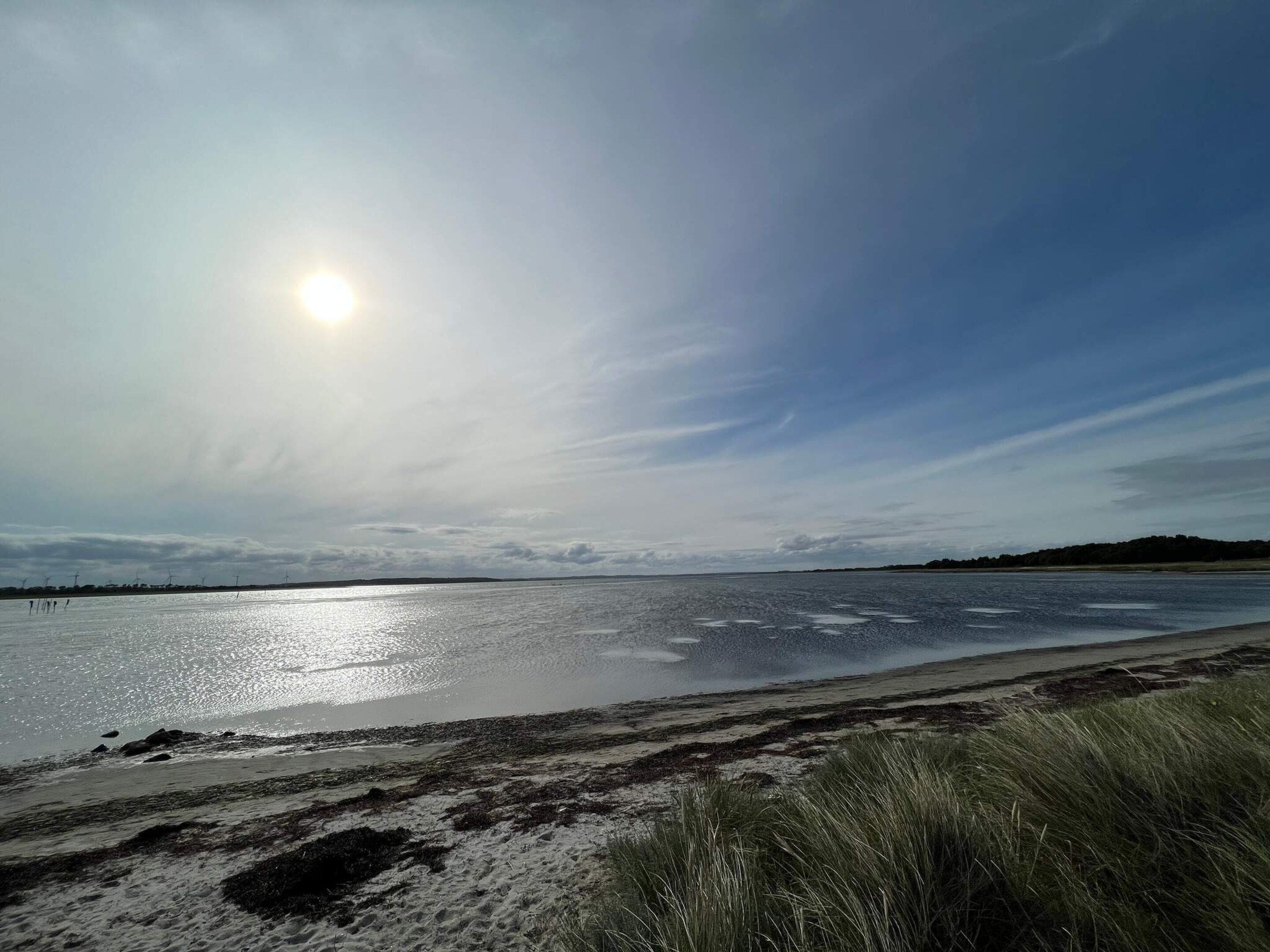 A beach with a clear sky and the sun shining.