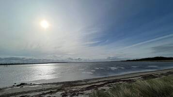Una playa con cielo despejado y el sol brillando.