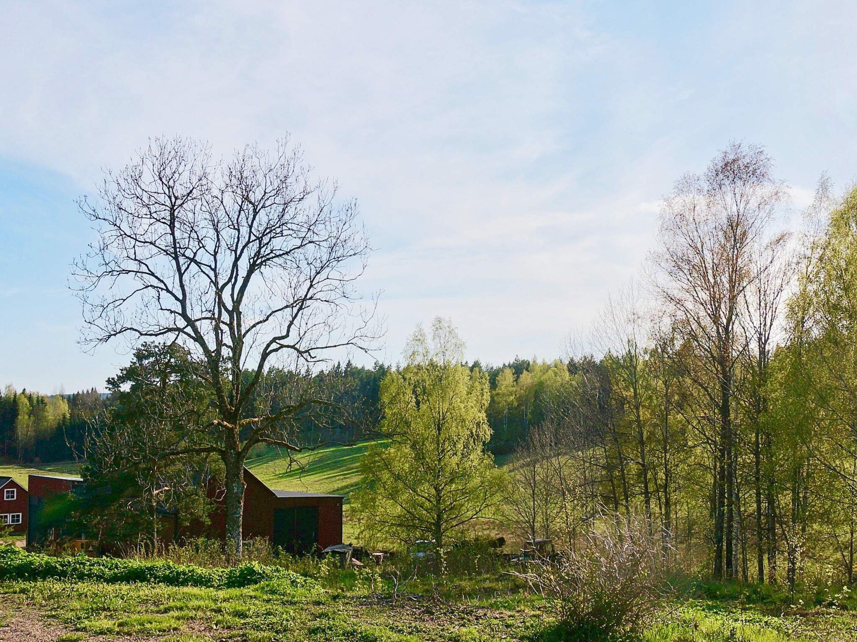 Hus | Exteriör
