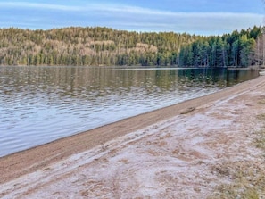 A lake with a sandy beach and a forest in the background. - 5 Person Holiday Home in Fengersfors (Fengersfors)