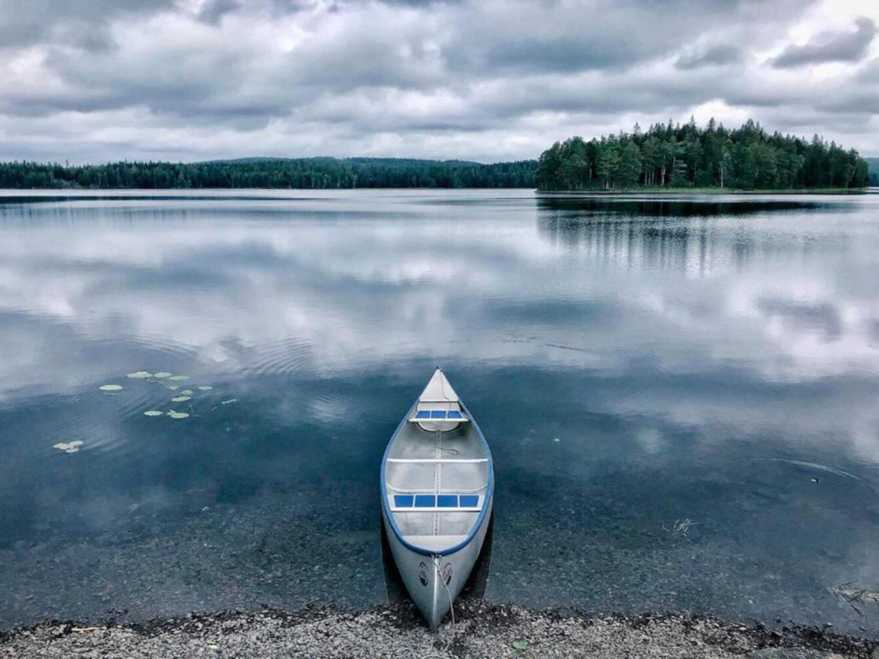 水景