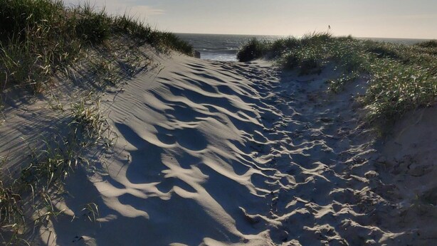 A sandy beach path with grass on either side, leading to the ocean. - 8 Person Holiday Home in Thyboron-by Traum (Thyborøn)