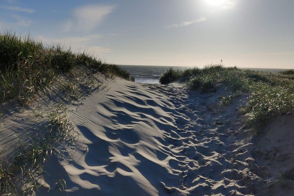 House | Beach