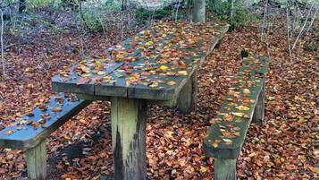 Huis | Terrein van de accommodatie