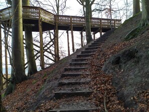 House | Property grounds