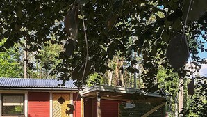 Exterior - 3 Person Holiday Home in Norrköping (Norrkoping)
