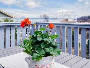 Eksteriør