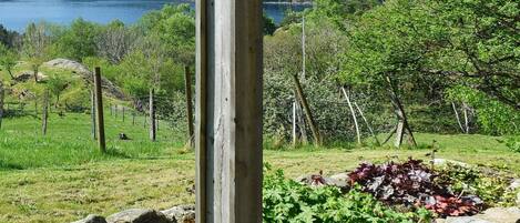 Apartment | Blick auf den See