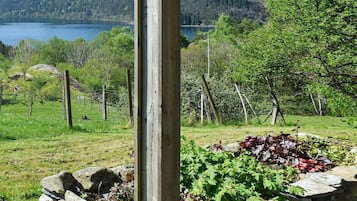 Apartment | Lake view