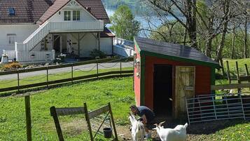 Apartment | Property grounds