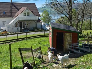 Apartamento | Jardines del alojamiento