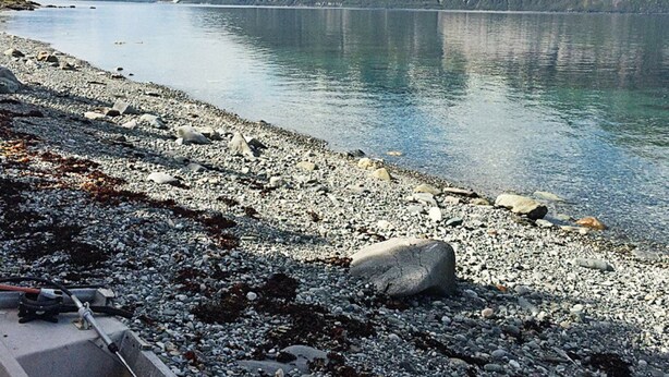 A rocky shoreline with a calm lake and mountains in the background.