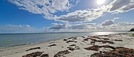 Ferienhaus | Blick auf das Wasser