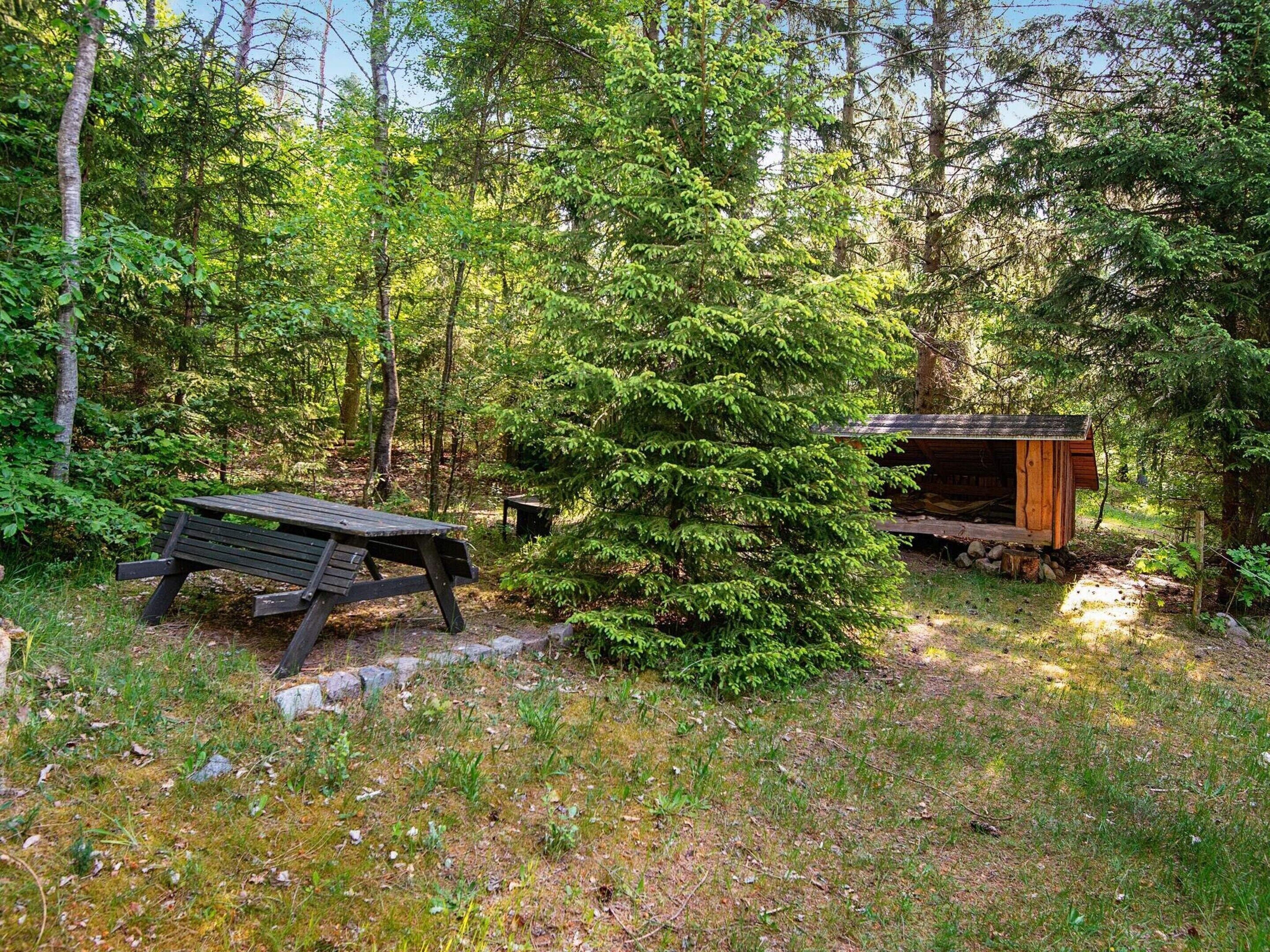 A forested area with a wooden bench and a small cabin.