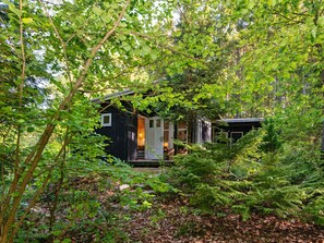 A cabin nestled in a forest, with a visible door and windows, surrounded by dense foliage. - 4 Person Holiday Home in Bryrup (Bryrup)
