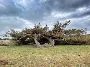 Miscellaneous - Luxury Pool Retreat Udsholt - By Traum Ferienwohnungen (Graested)