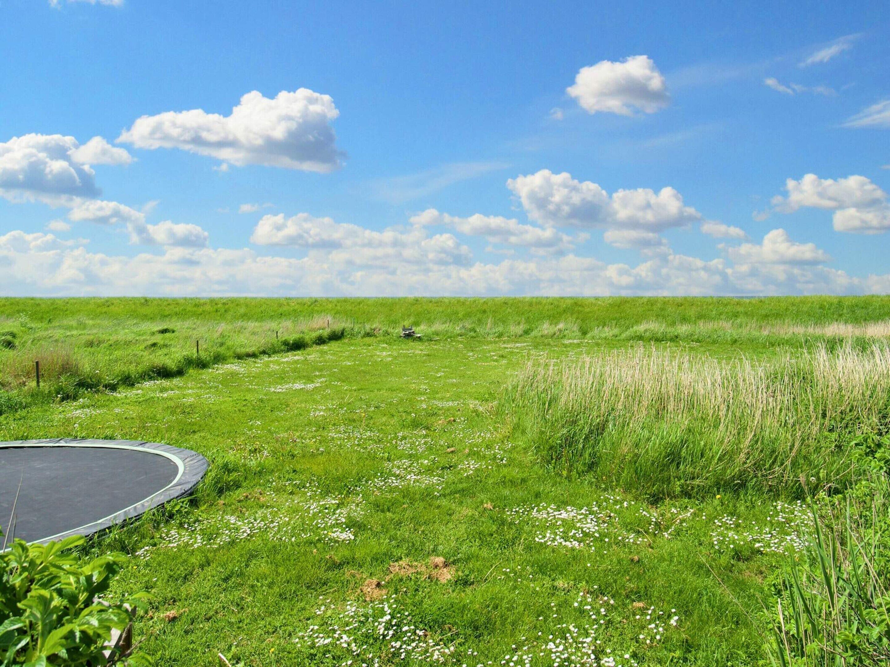 Talo | Näkymä majoituspaikasta