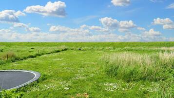 House | View from property