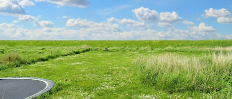 單棟房屋 | 住宿景觀