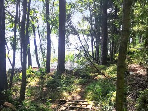 A forested area with a wooden structure, possibly a bench or platform, surrounded by tall trees and greenery. - 4 Person Holiday Home in Torup (Torup)