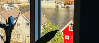 Holiday Home in Auklandshamn