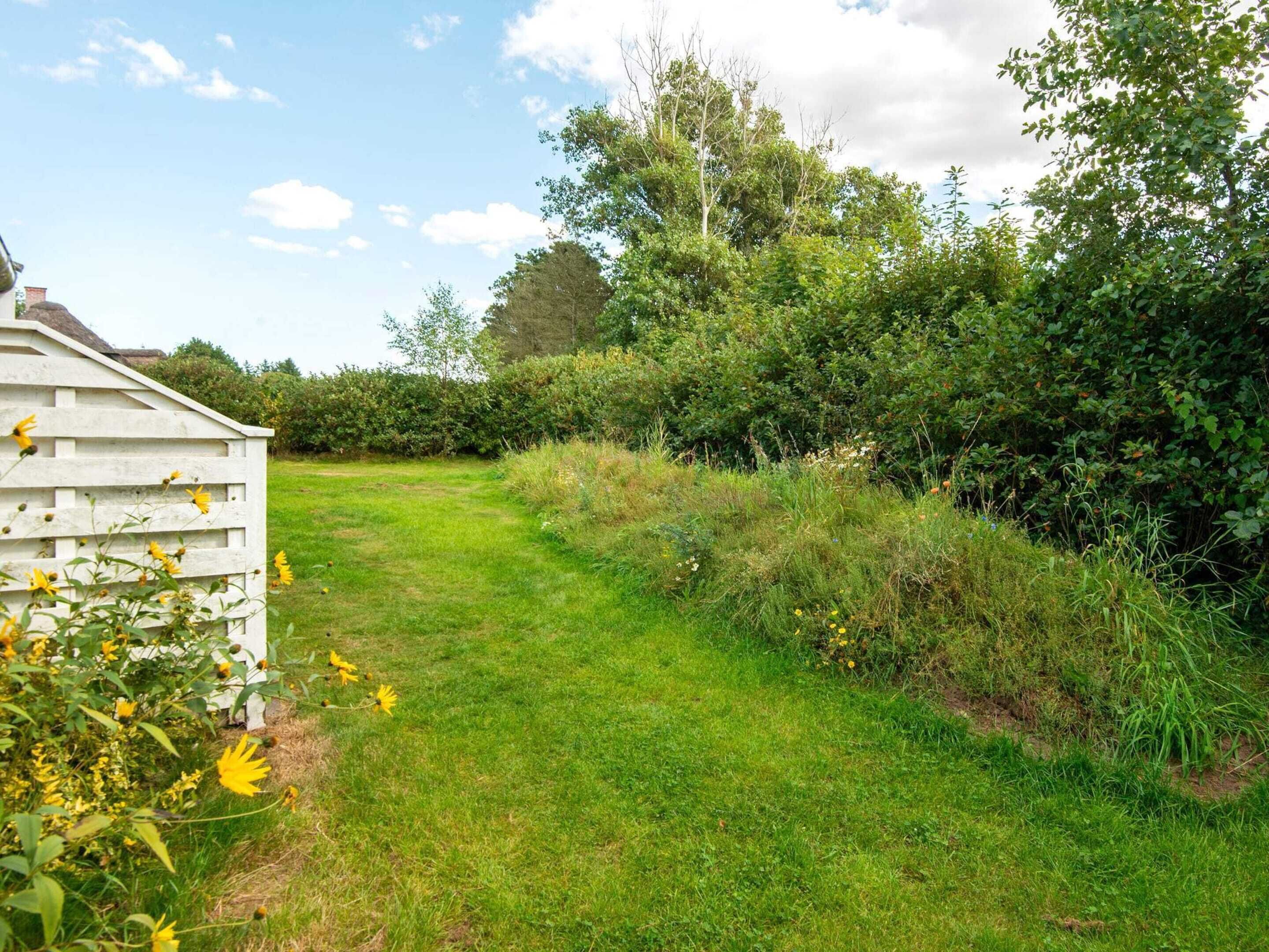 A grassy area with a white fence, dense greenery, and a clear sky.