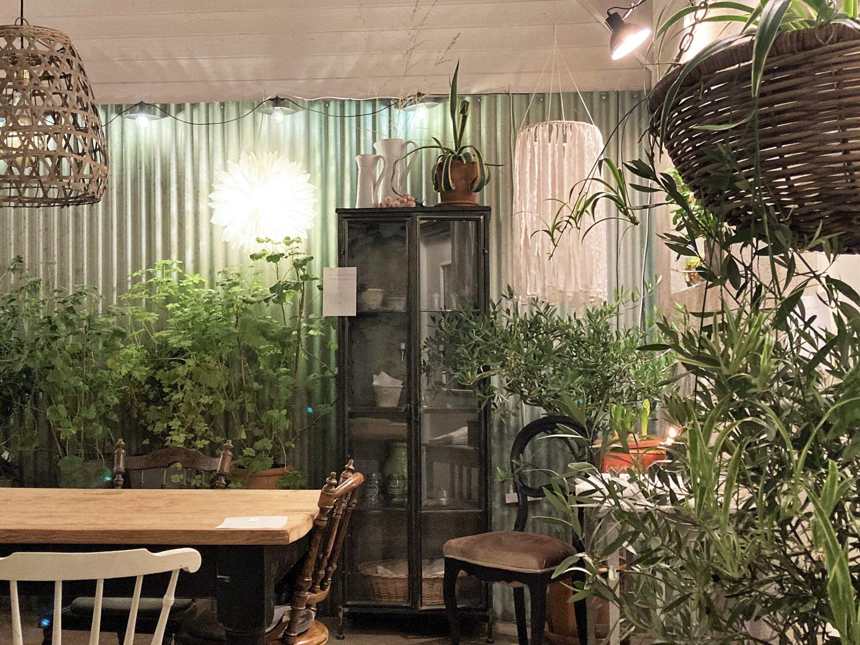 Un comedor con mesa de madera, sillas, un mueble aparador y varias plantas en macetas.