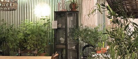 A dining area with a wooden table, chairs, a cabinet, and various potted plants.