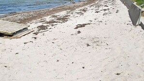 Ferienhaus | Strand