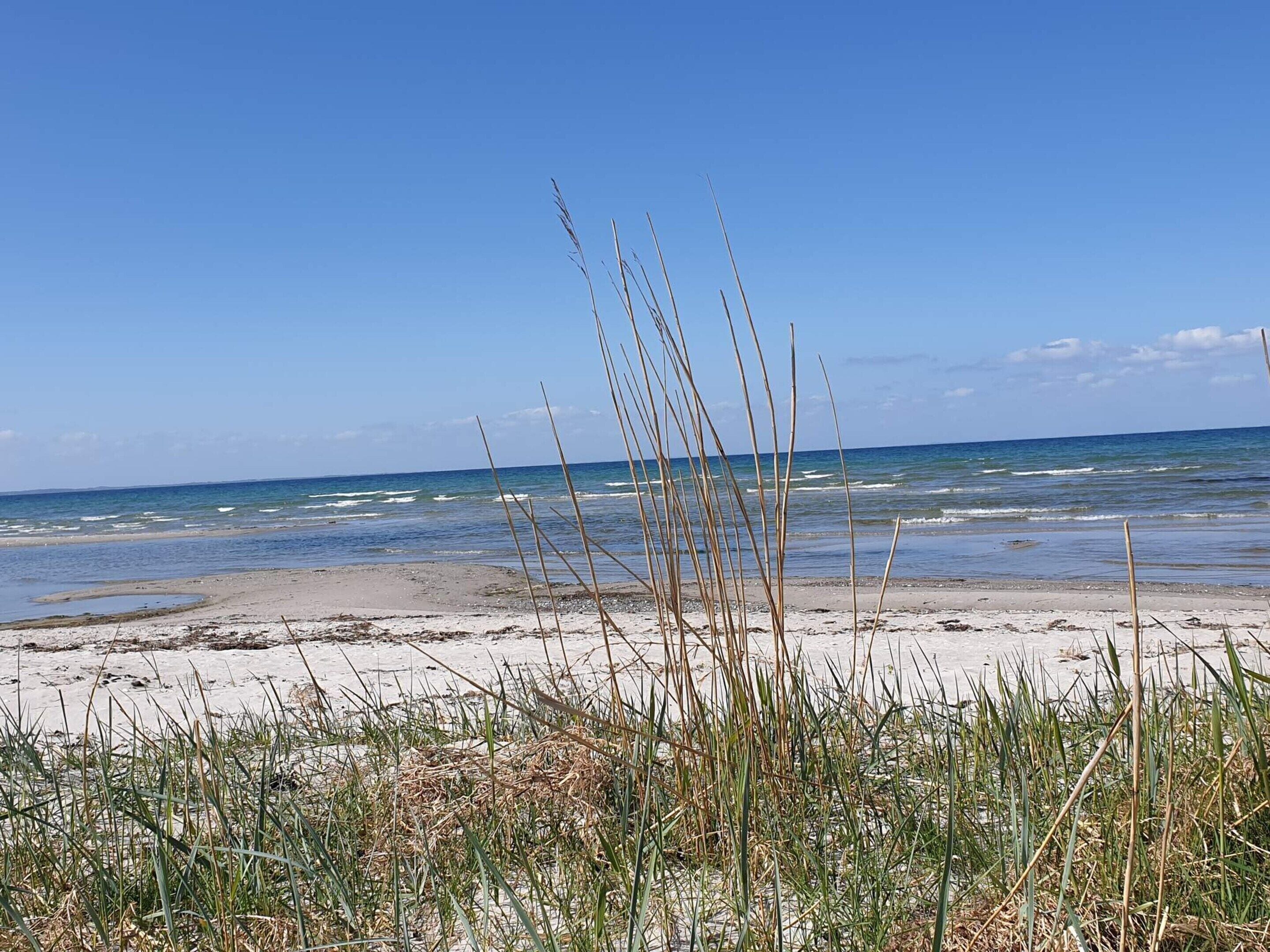 Ferienhaus | Blick auf das Wasser