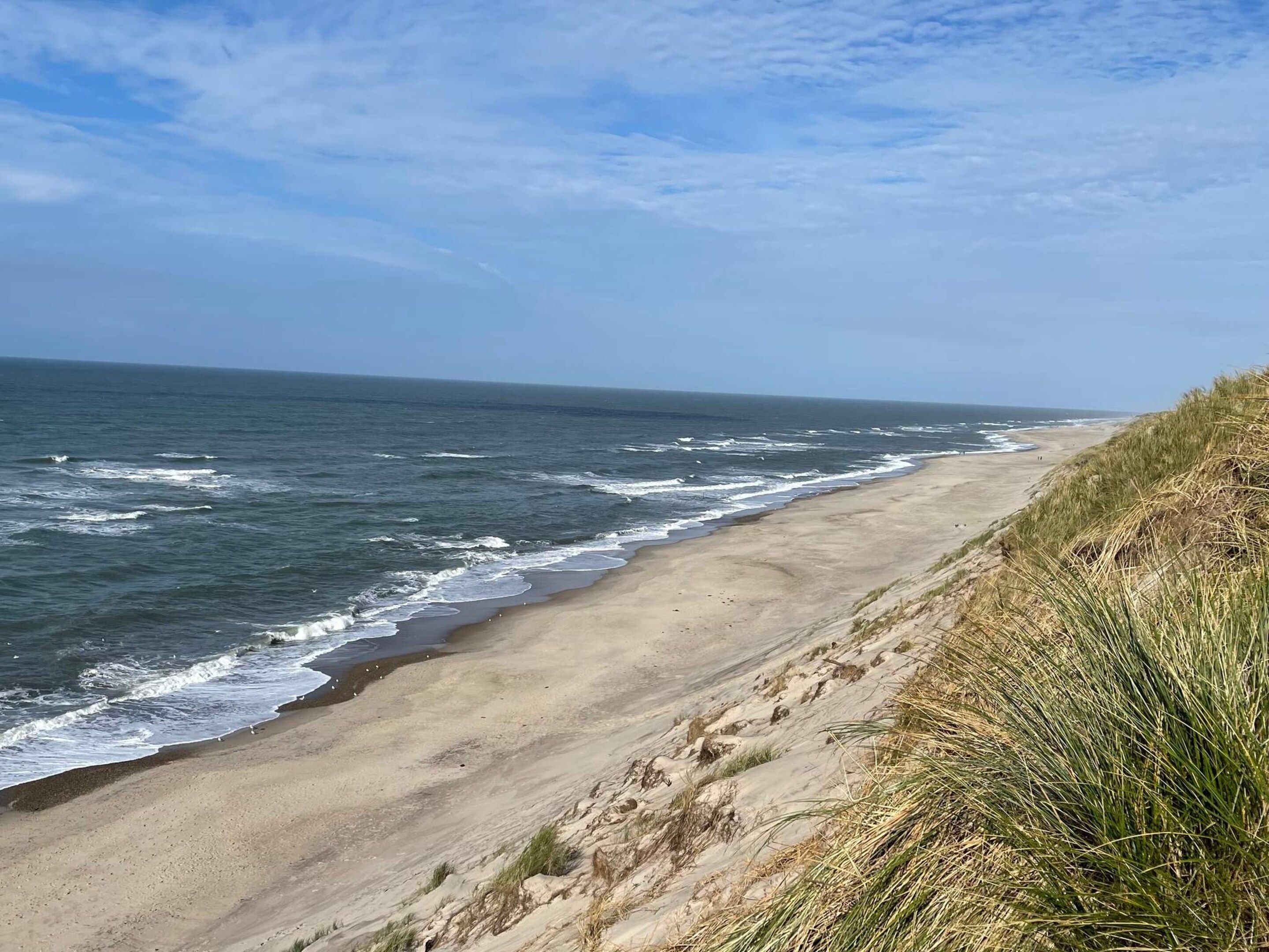 A beach with waves, a clear sky, and a grassy dune.