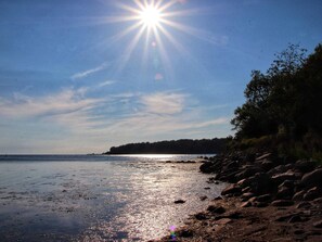 A beach with sunlight reflecting on the water, rocks, and a tree line. - 5 Star Holiday Home in Nysted (Nysted)