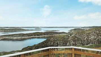 House | Property grounds