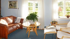 DVD player - Holiday Home in Arkelstorp (Arkelstorp)