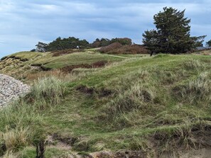 House | Miscellaneous