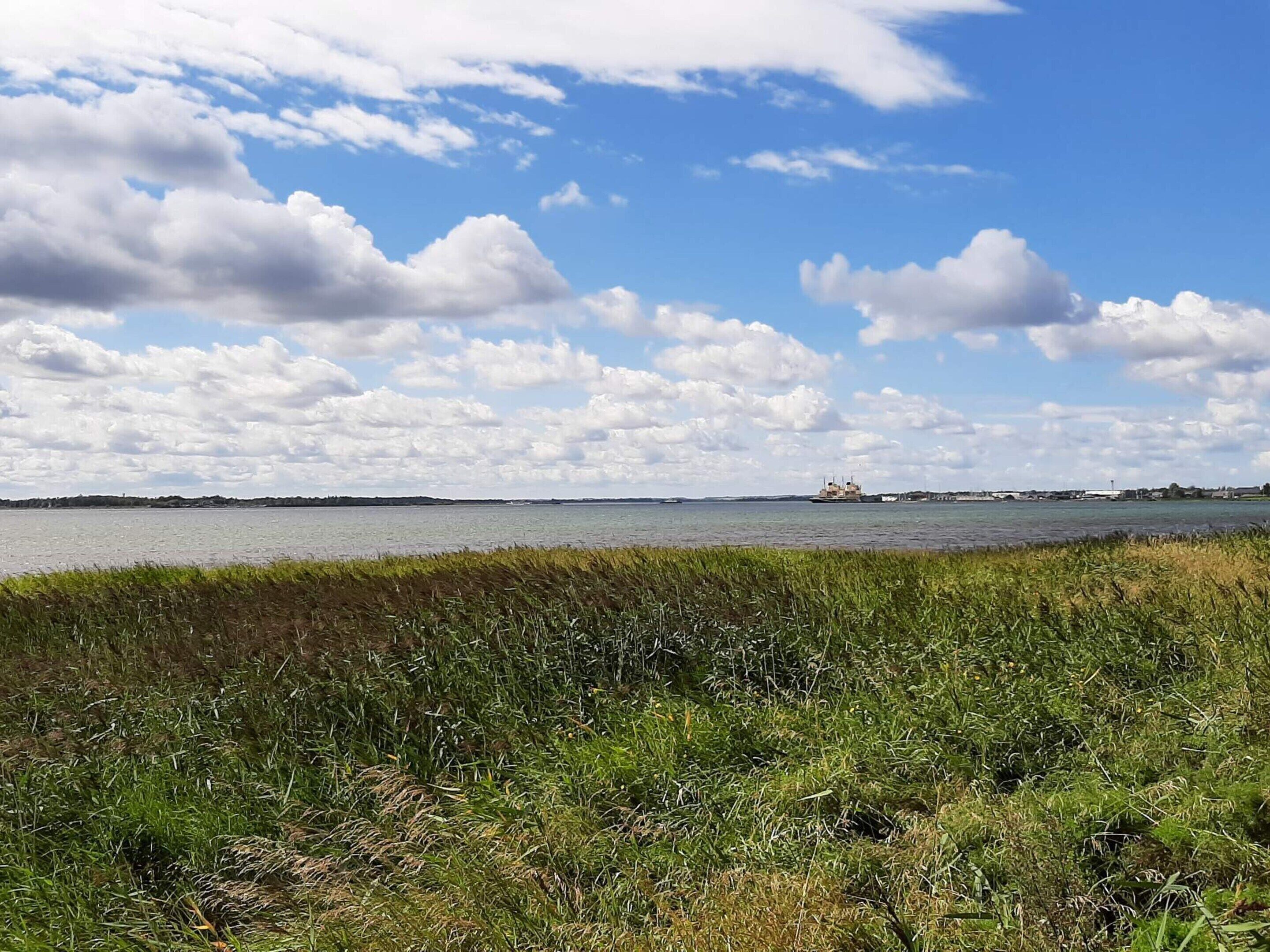 Een kustlandschap met een waterpartij, grasvelden en een schip in de verte.