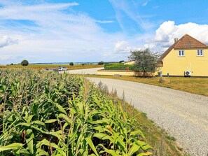 A rural landscape with a yellow house, a gravel road, and a field of corn.