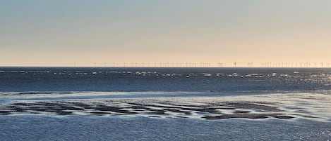A coastal landscape with a sandy beach and a row of wind turbines in the distance.