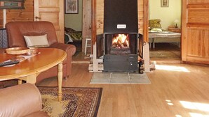 Chimenea y reproductor de DVD 