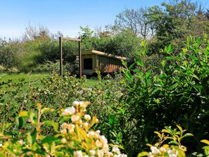 House | View from property