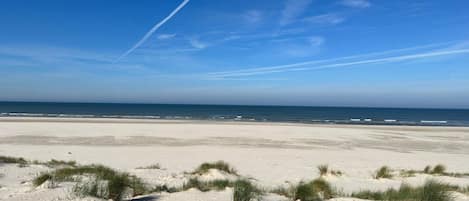 House | Beach