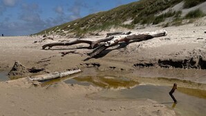 A sandy beach with driftwood and a small puddle of water. - Serene Holiday Home in Oksbøl near Beach (Oksbol)