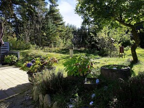 House | View from property