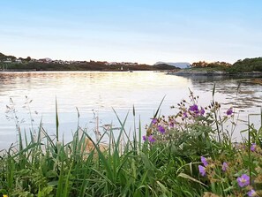 House | Miscellaneous