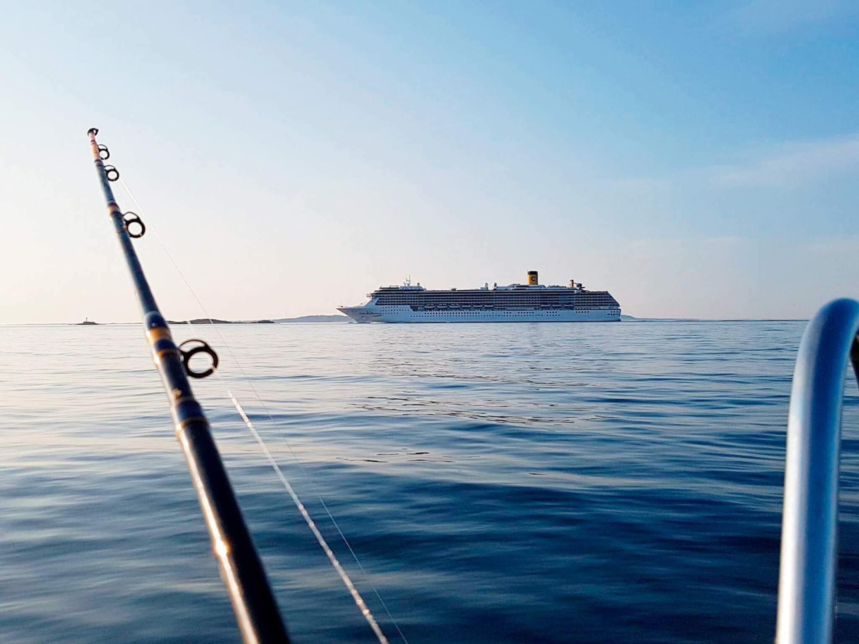 Et stort krydstogtskib på rolige vand med en fiskestang i forgrunden.