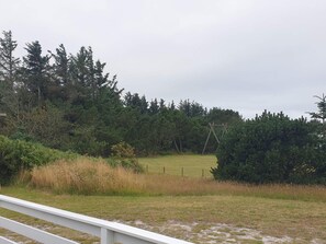 A grassy field with a wooden swing set and dense trees in the background.