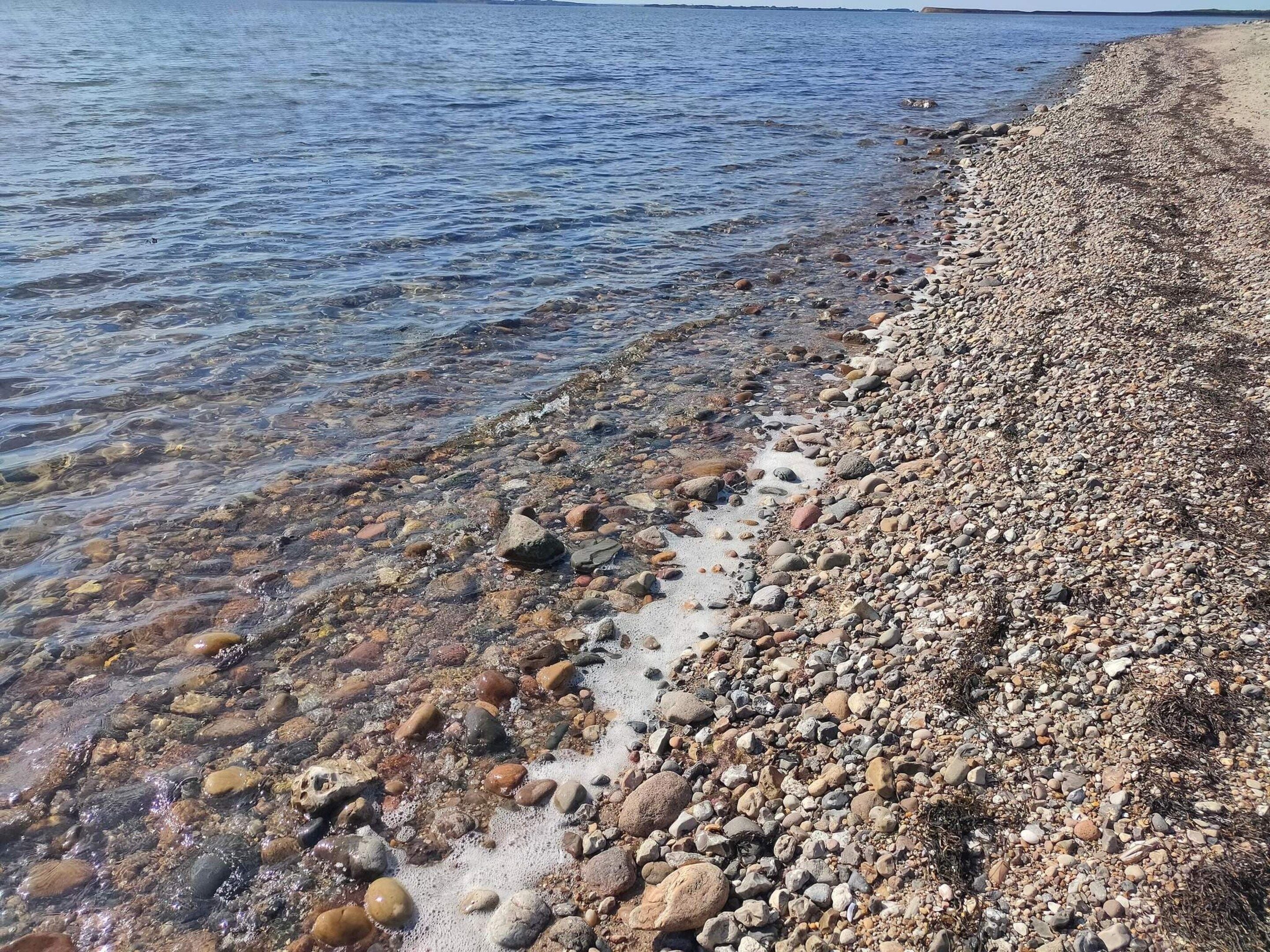 A pebbled beach with clear water and a distant shoreline.