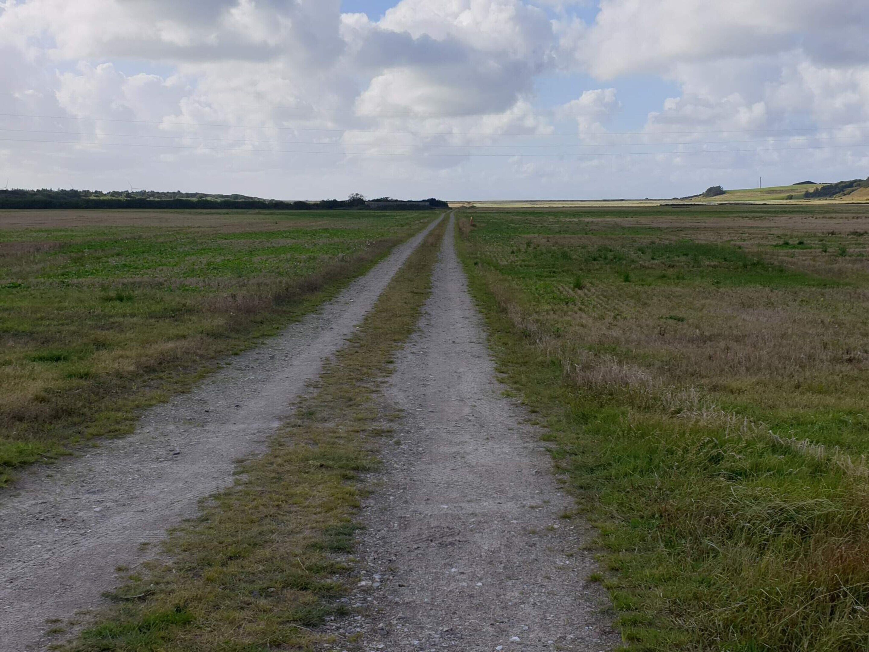 A rural dirt road extending into the distance with grassy fields on either side.