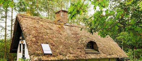 Ferienhaus | Außenbereich