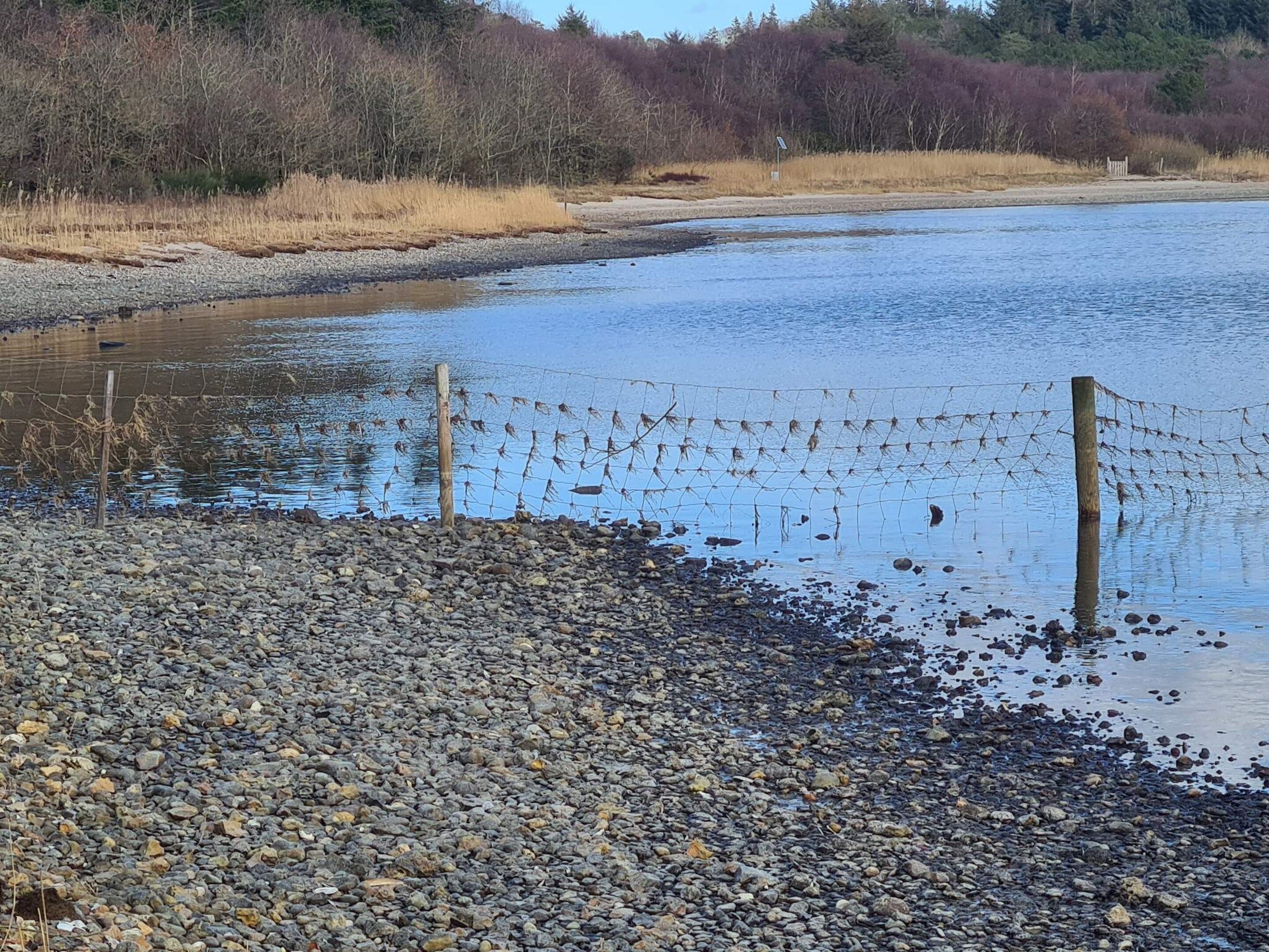 A pebbled riverbank with a wooden fence and a clear sky.